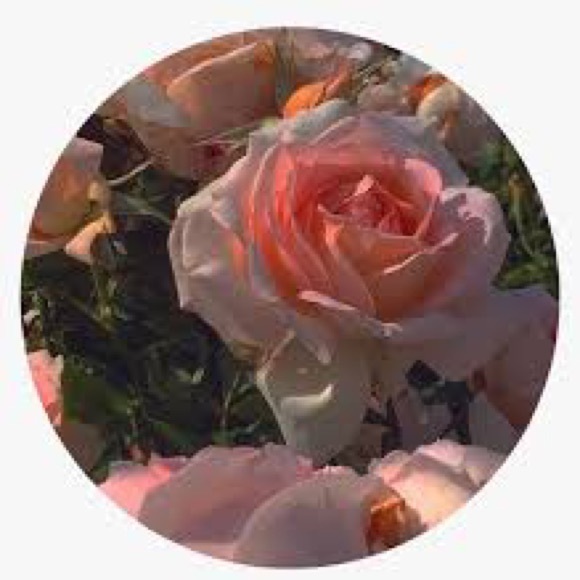 Meet your Posher, Sonia - Picture 1 of 1